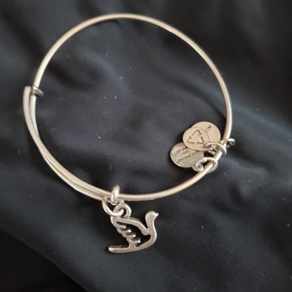 Alex and Ani Jewelry - Alex and Ani Bracelet - Sweet Dove   Self Love Energy Live       343
